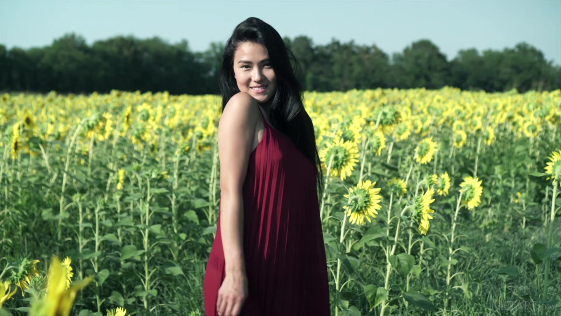 Sunflower - Kimiko - Met-Art