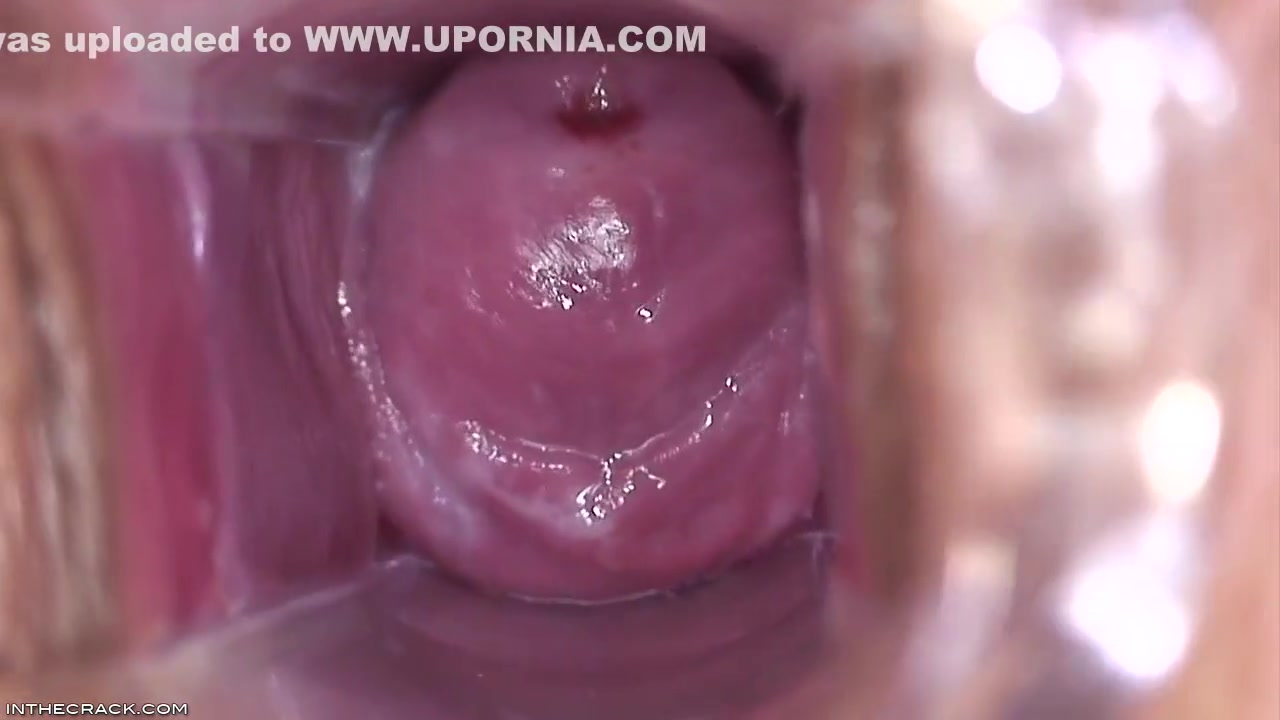 Inside Brandys Pussy