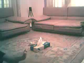 Bangladeshi prostitute uttara dhaka 04