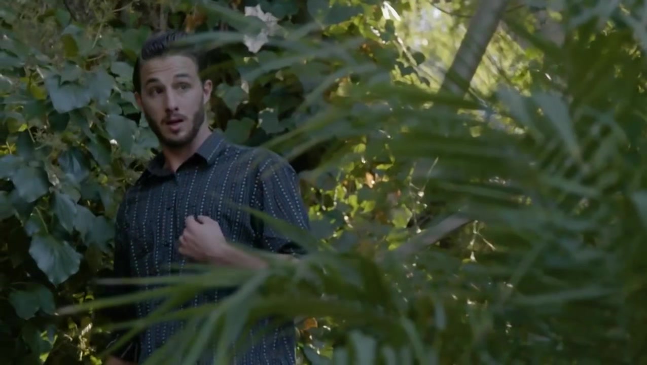 the watcher from the bushes