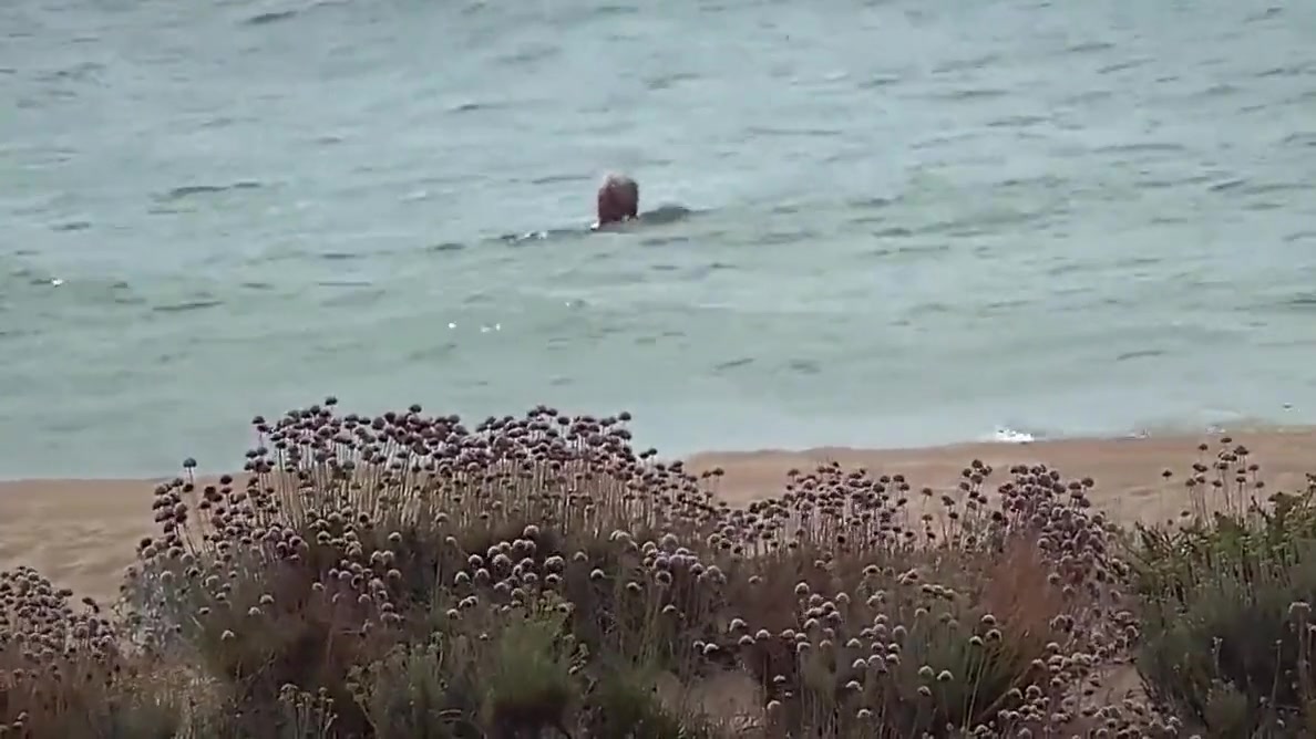 Meet At The Beach