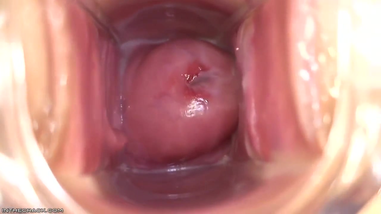 Womb With A View