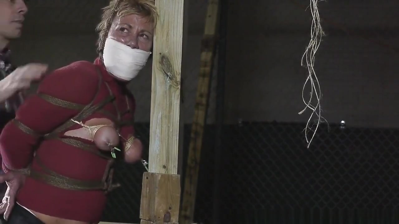 alices tight hogtie