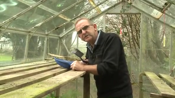 Greenhouse Games Mp4