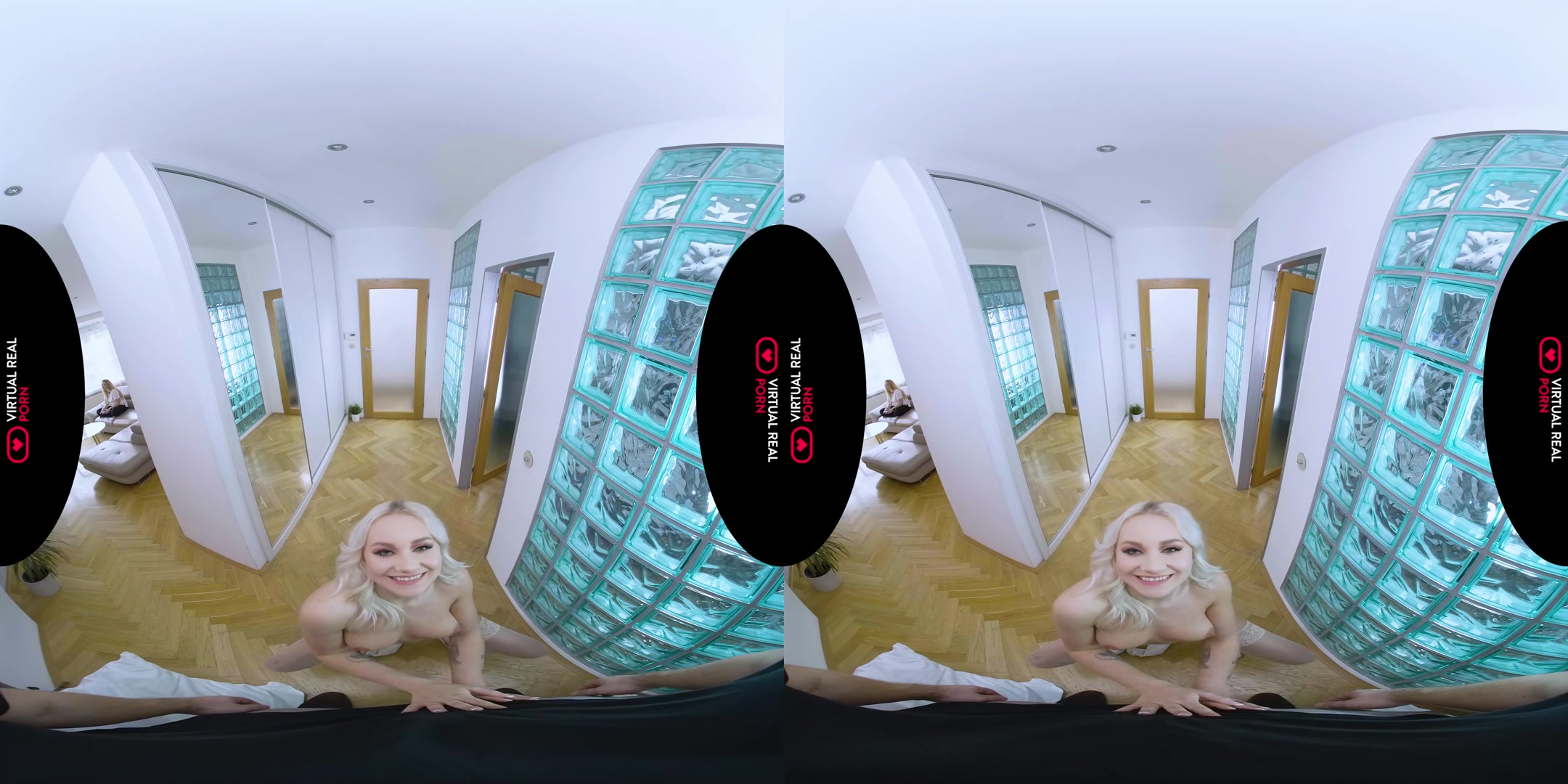 The Roommate - VirtualRealPorn