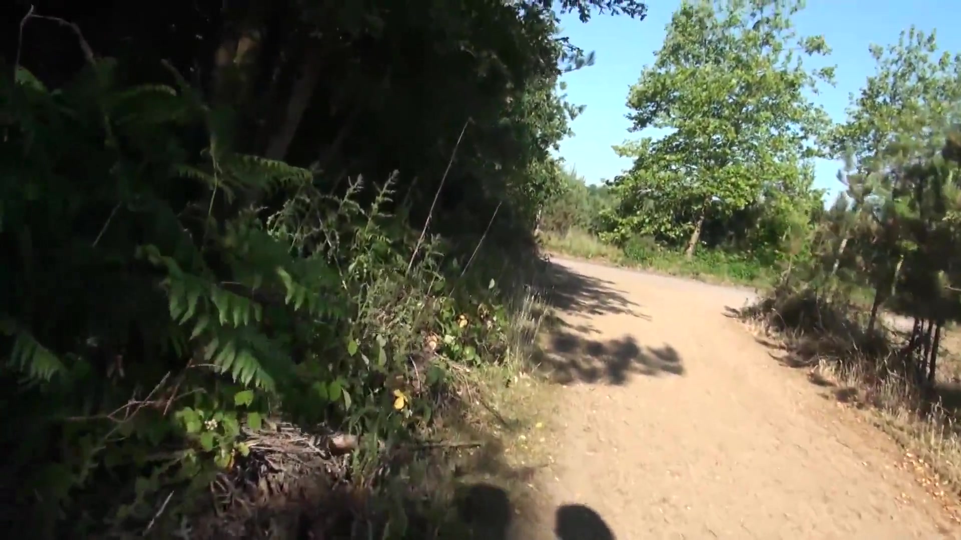 A Walk In The Forest Pt1 - DirtyDoctor