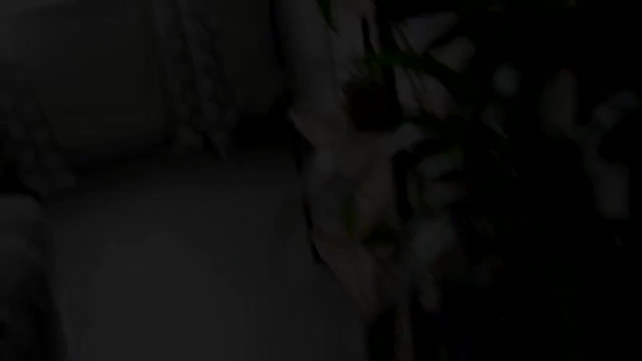 stepsis is left with quivering quim