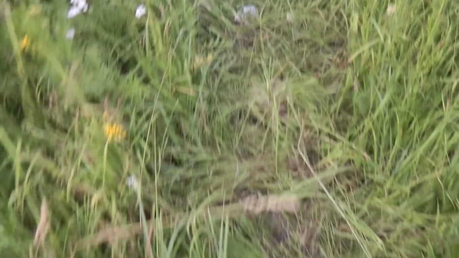 Tramp with big tits gets fucked in the outdoors