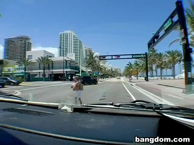 Lauderdale Moves