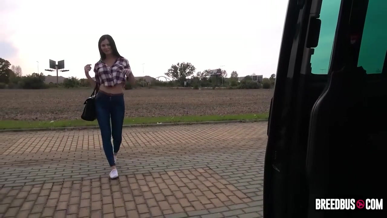 How to get a Free Ride - Breedbus