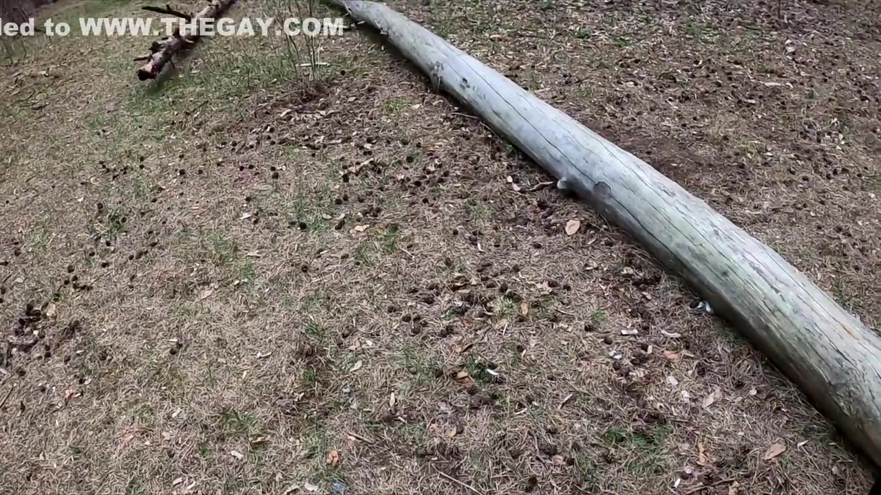 Vibrator Fun In Crowded Central Park