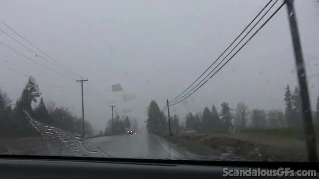 Sexy GF Shows Off Her Pussy In The Car