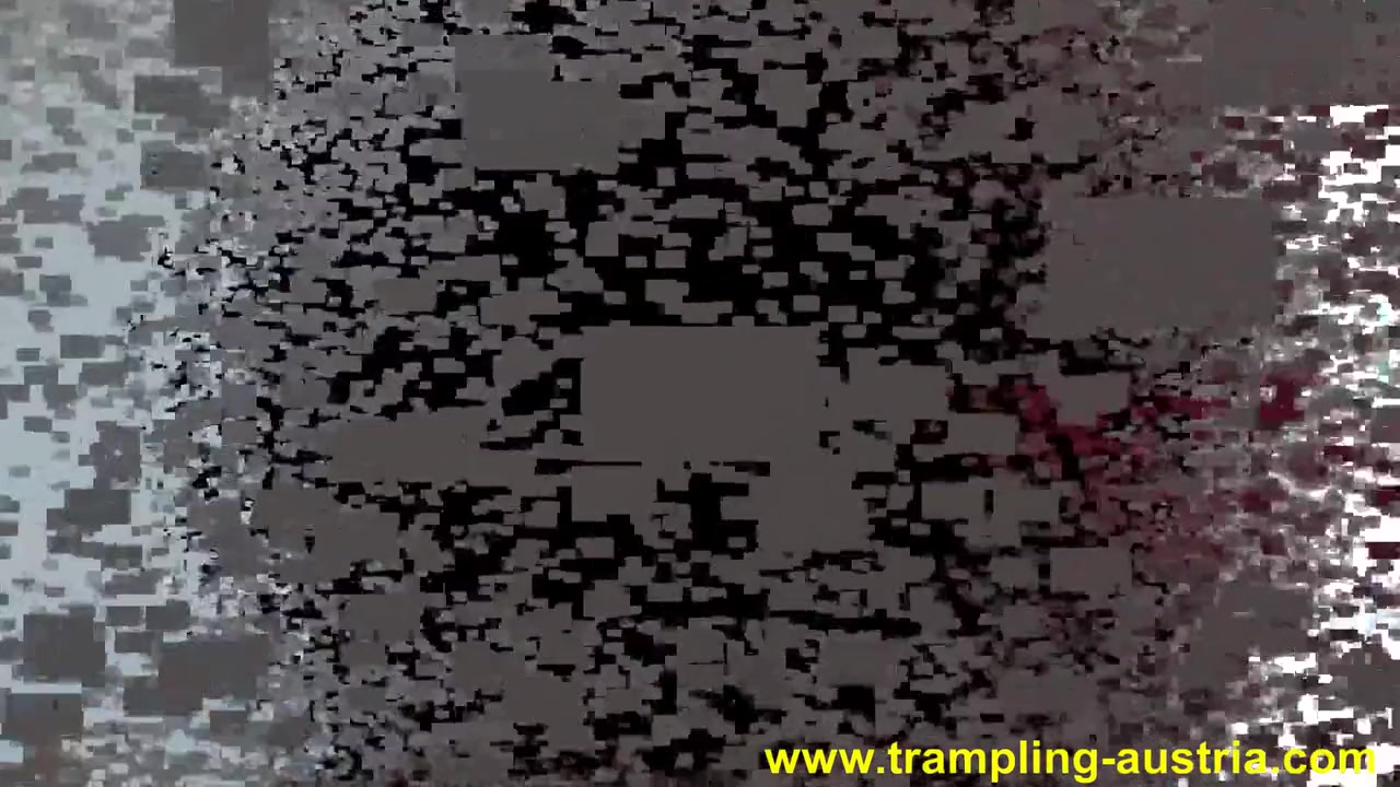 Feet Domination