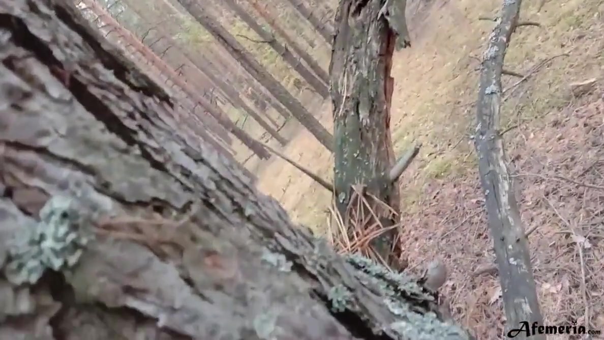 Horny Babe Caught In The Forest And Doggystyle Fucked