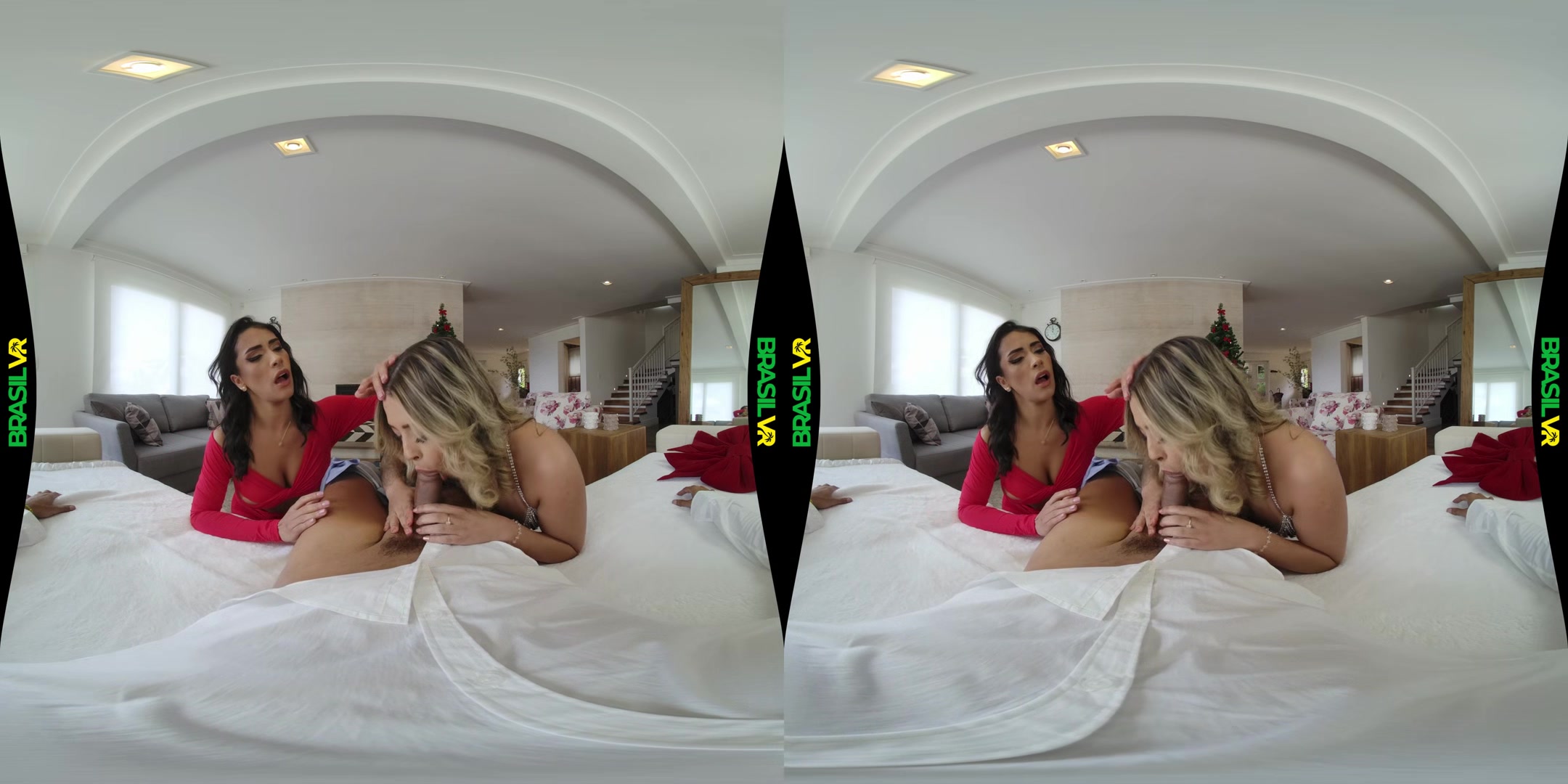 The Gift Of The Vagi - BrasilVR