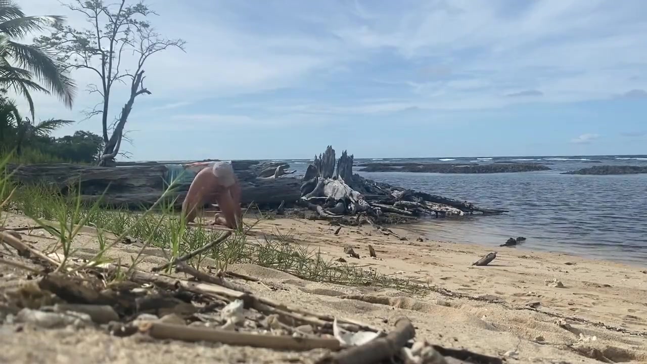 Pet Play At The Beach