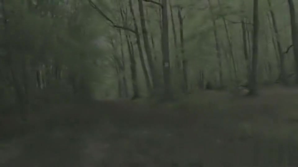 This ladyboy Wants Sex In The Forest