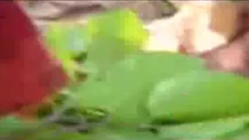Indian outdoor Creampie