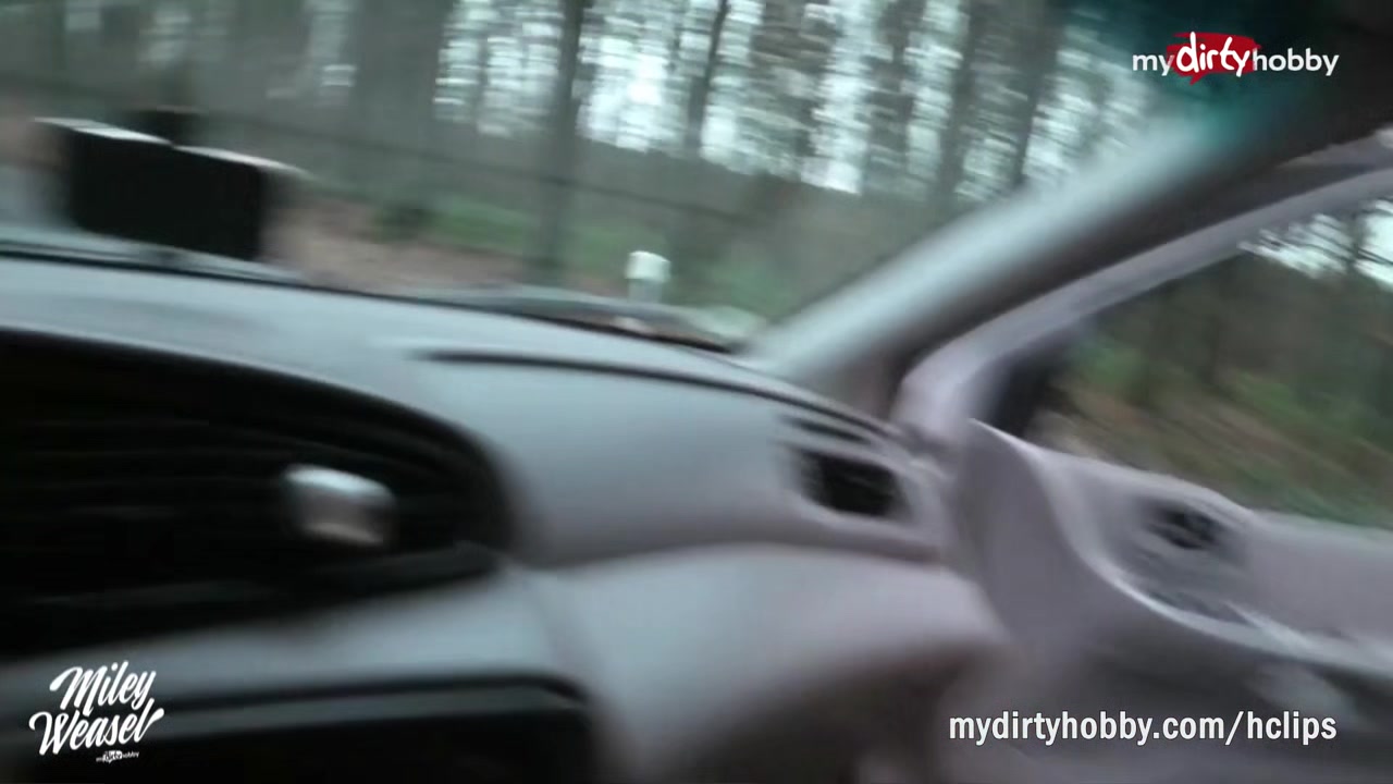 MyDirtyHobby - Amateur blonde outdoor sex in a car