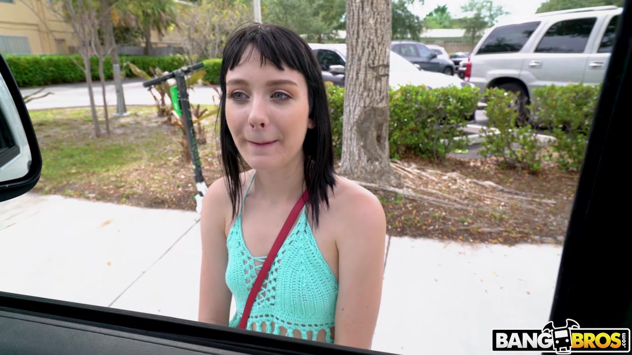 Aspiring Model Fucks for the Job - BangBus