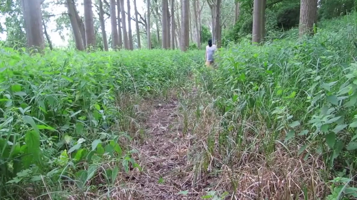 Outdoor Hawian Grass Skirt Walk With Boner