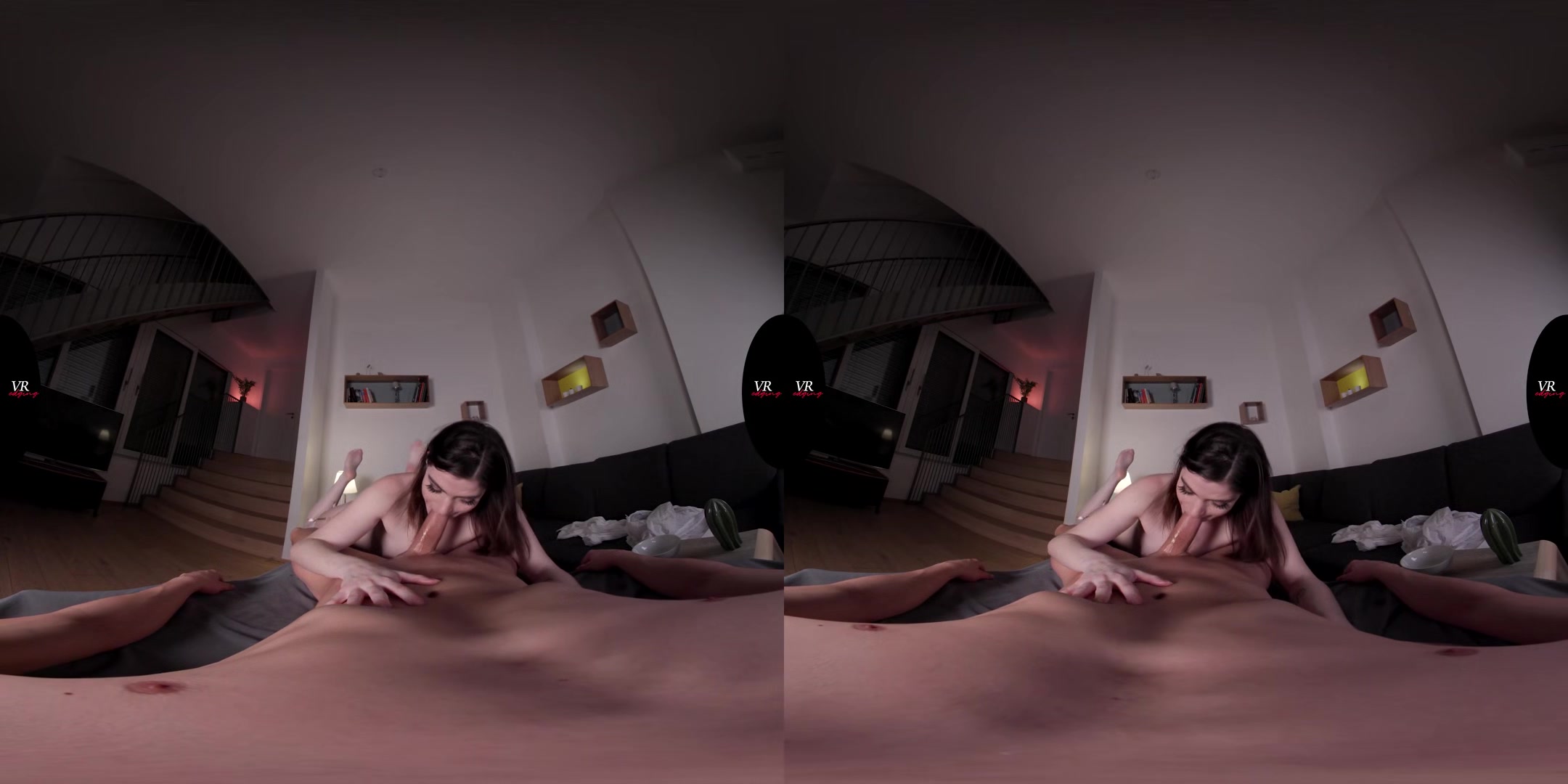 Hardcore Director's Cut