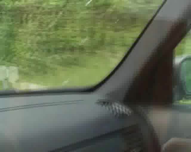 Hottie Gets Picked Up By Some Stranger