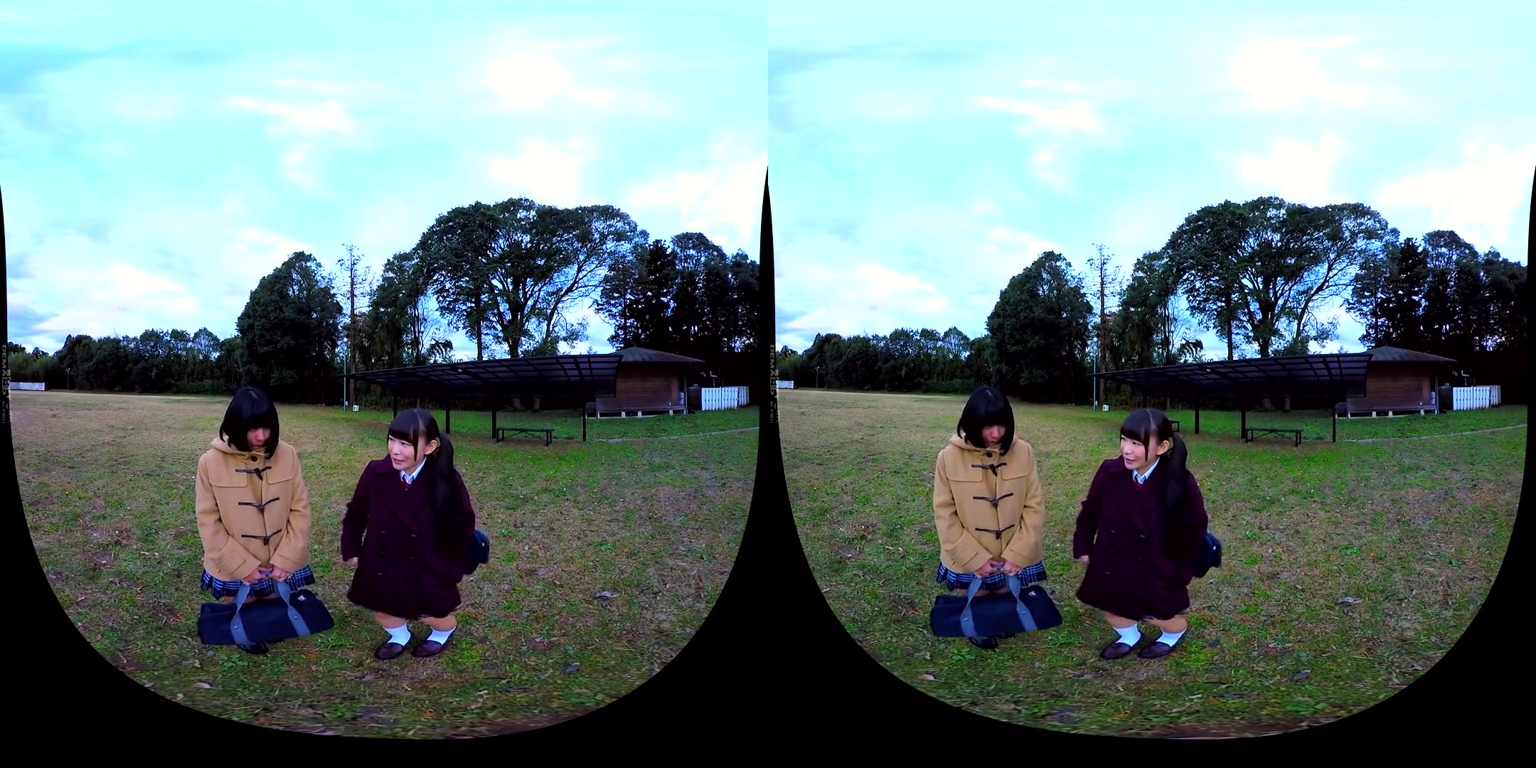 Valentine' Confession VR 2 - Softcore Non-Nude Compilation of Beautiful Japanese Girls Confessing Their Love For You
