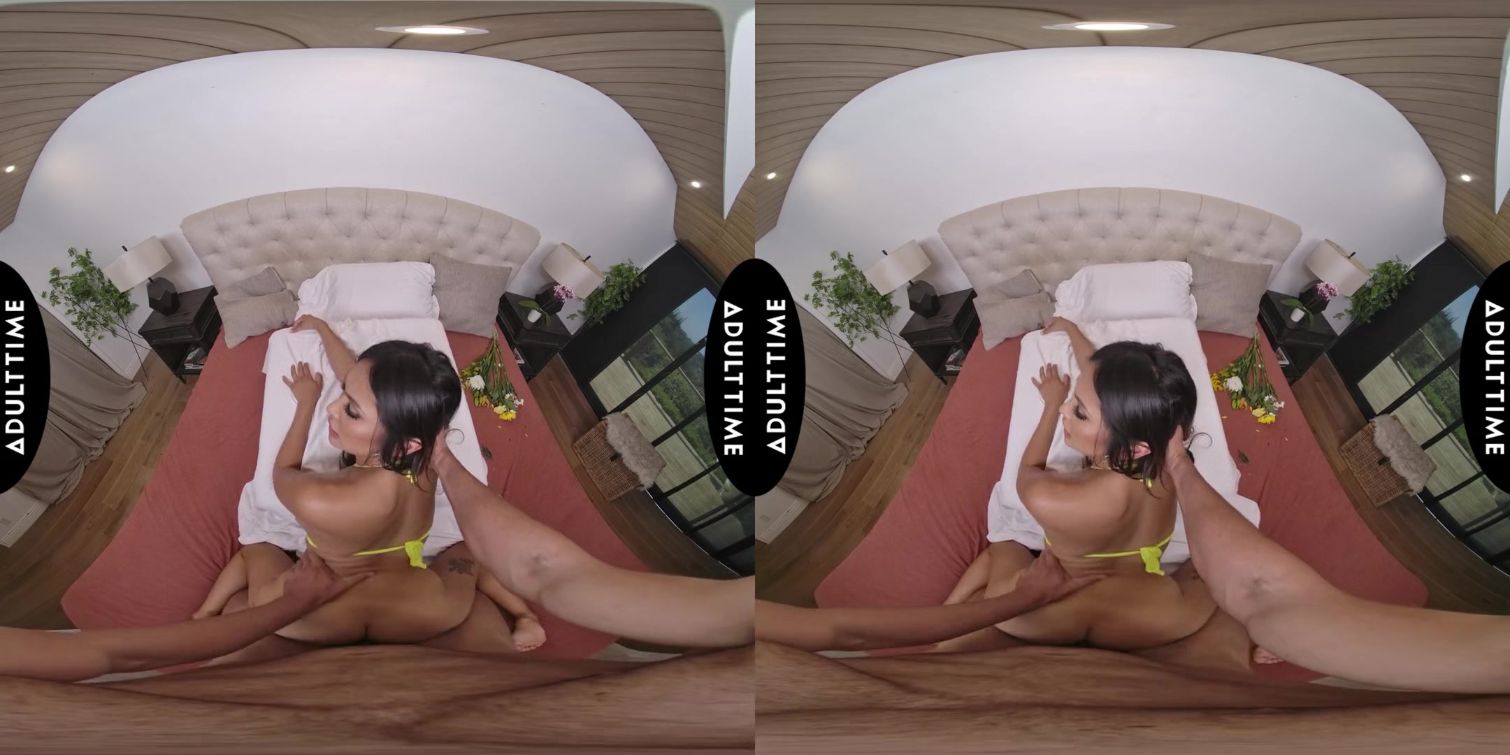 Up Close Vr With Jena Larose