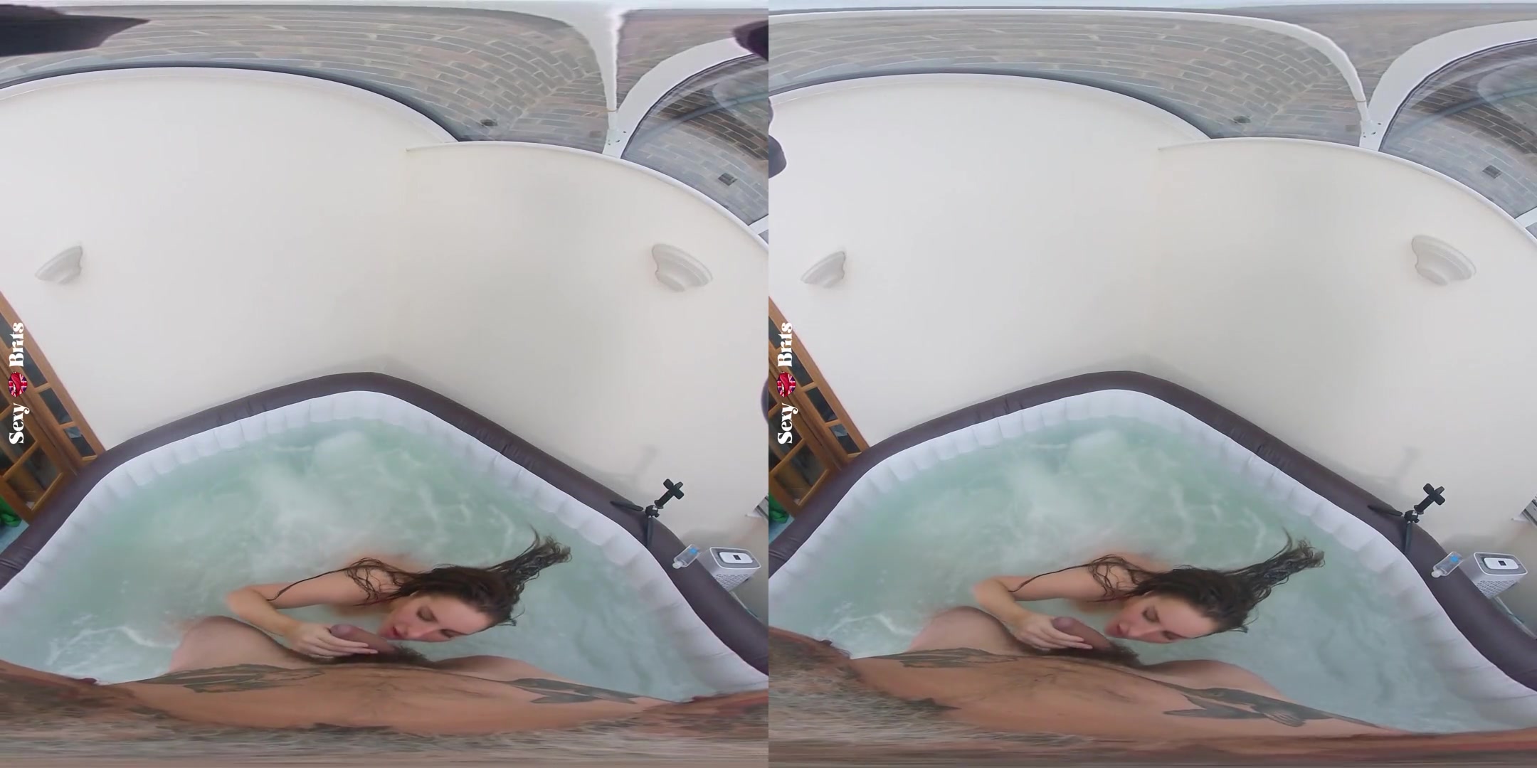 How to Bathe Your Aussie I
