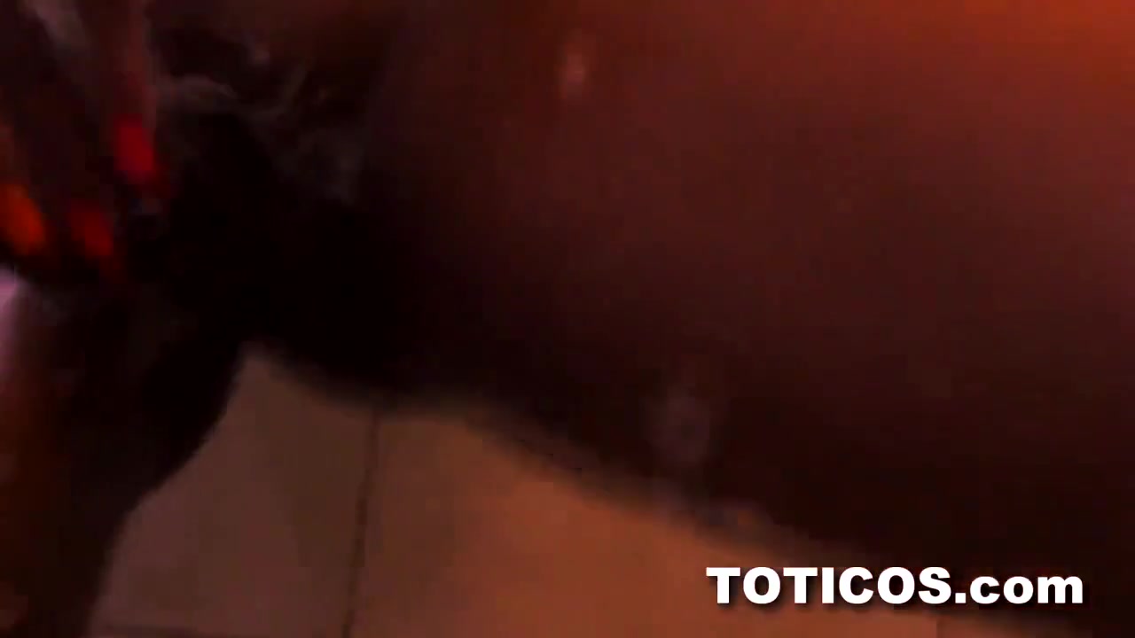 Toticos Ashlei - Toticos