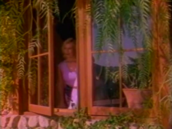 Kathy Harcourt, Don Fernando, Jesse Adams in vintage sex video