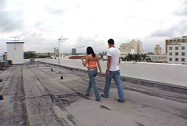 On the Roof