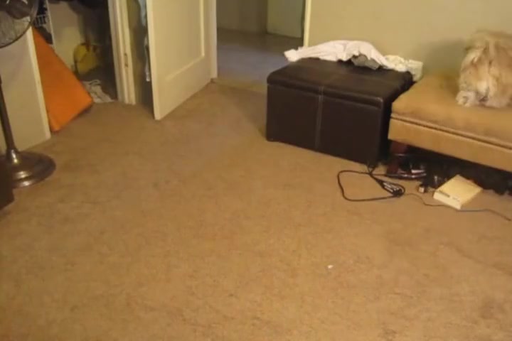 Cum Trap