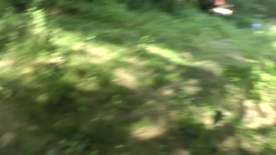 Kelly had hardcore sexual adventure in some park