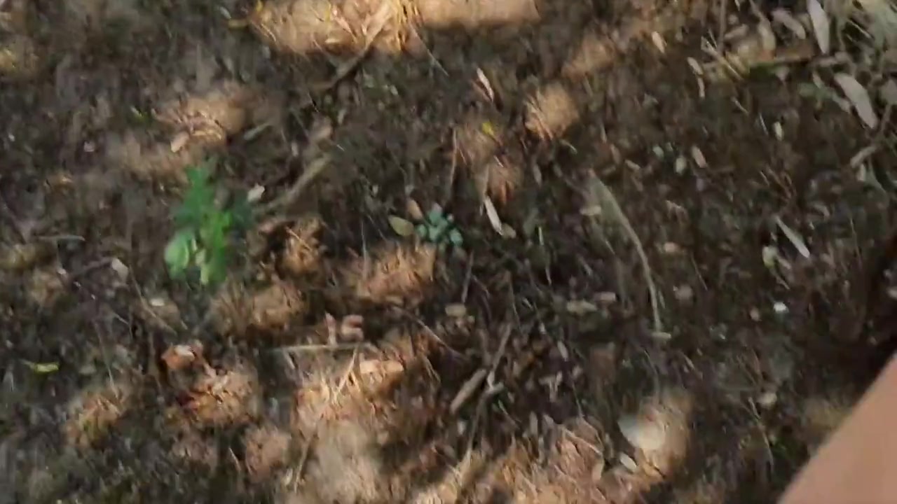 Boquete E Foda Arriscada Na Trilha Ate Gozar Na Boquinha Da Novinha 4 Min