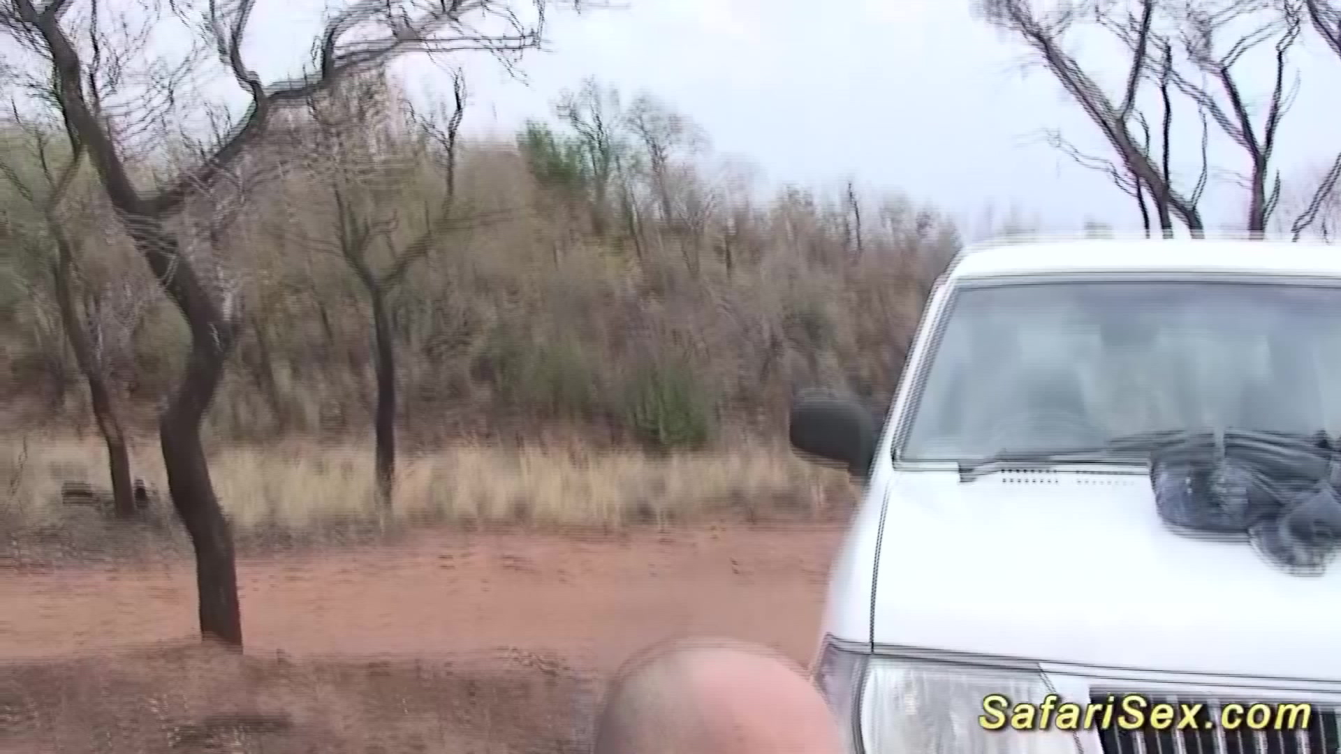 wild african jeep sex safari