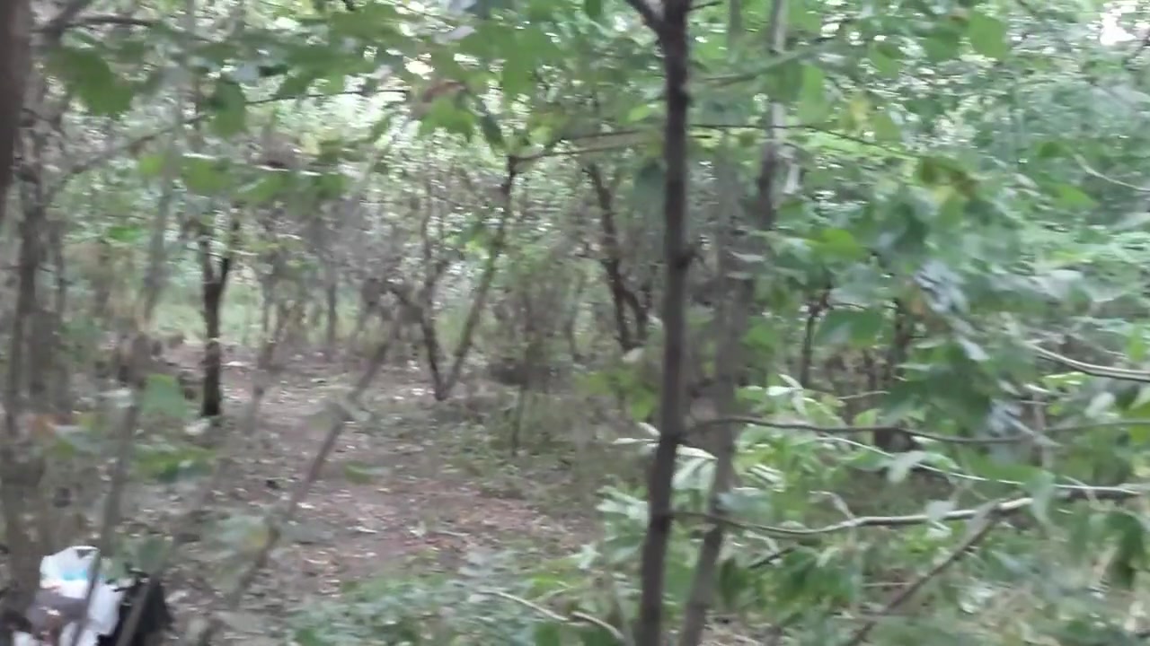 My Girlfriend Caught Me Masturbating