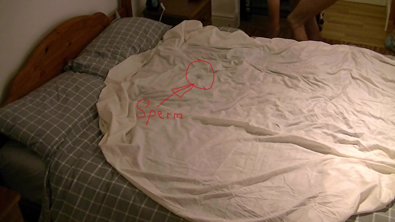 Hotel Bed Hump Masturbation