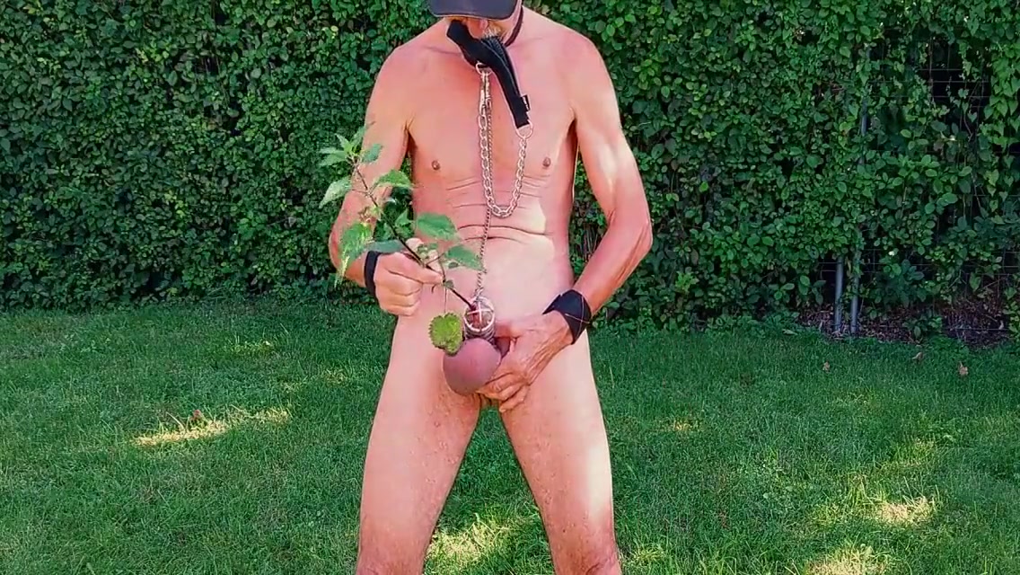 Uncut, Unmasked Slave Exposed Outdoor Urethra Sounding In Penis Cage With Nettle Bdsm Cbt 4 Min - Solo Boy