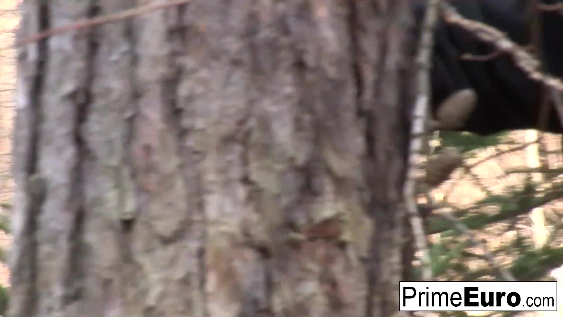 Young Cutie Sue Pleases Two Lucky Guys - PrimeEuro