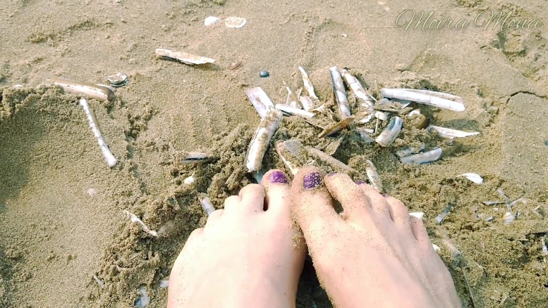 Sand And Shells Under My Feet