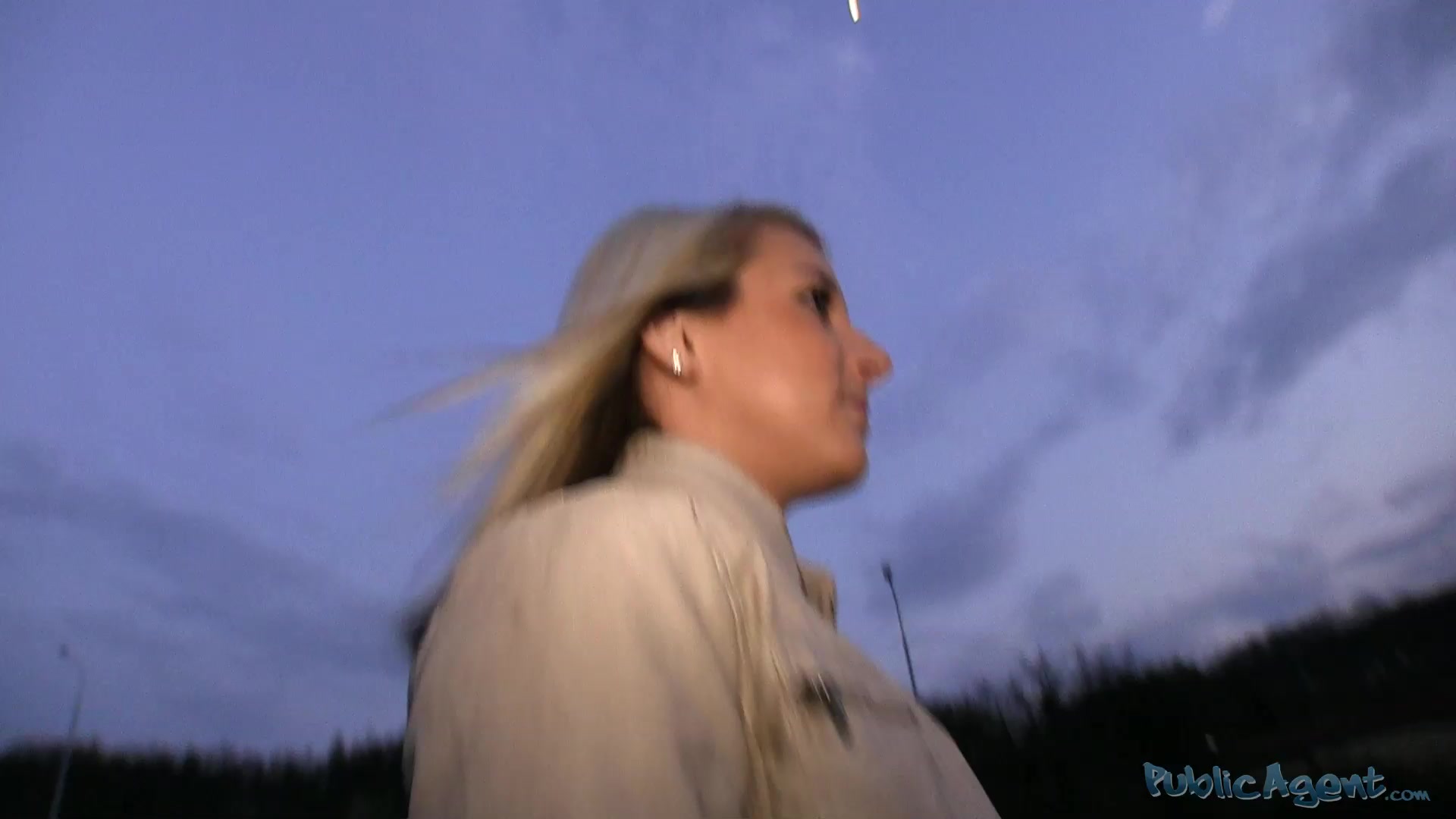 PublicAgent . Jenka