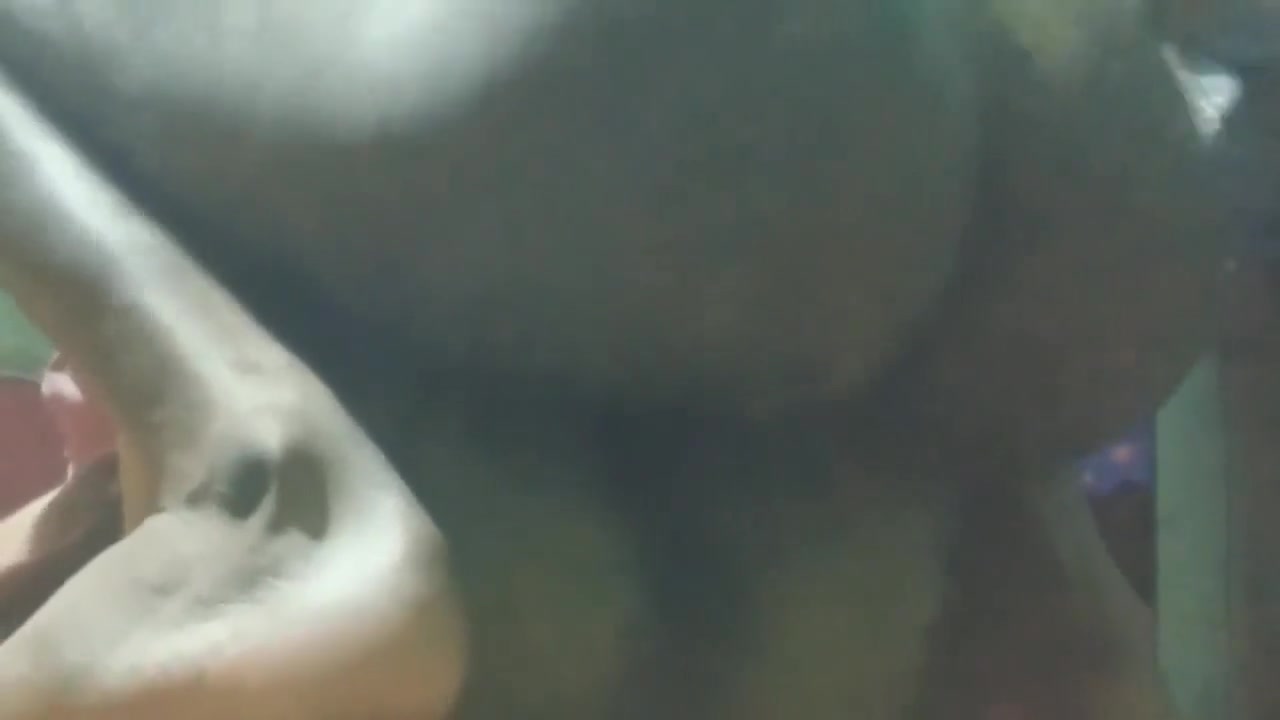 Desi Stepsister Ko Uske Stepuncle Ke Bete Ne Hi Pela Rat Me