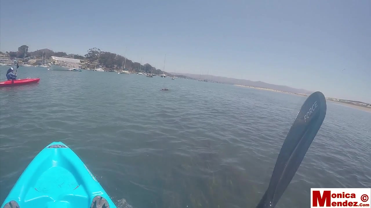 Monica Mendez - Kayak Flash 1