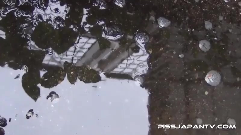 Piddle Here, Puddle There 9 - PissJapanTV