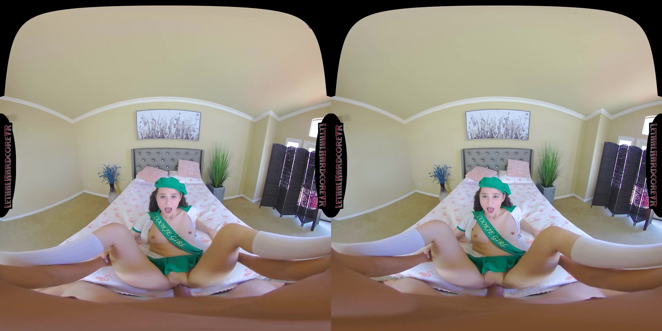 Girl Scout Liz Loves Her Nookie Fucked - Girl Scout Sex POV Hardcore VR