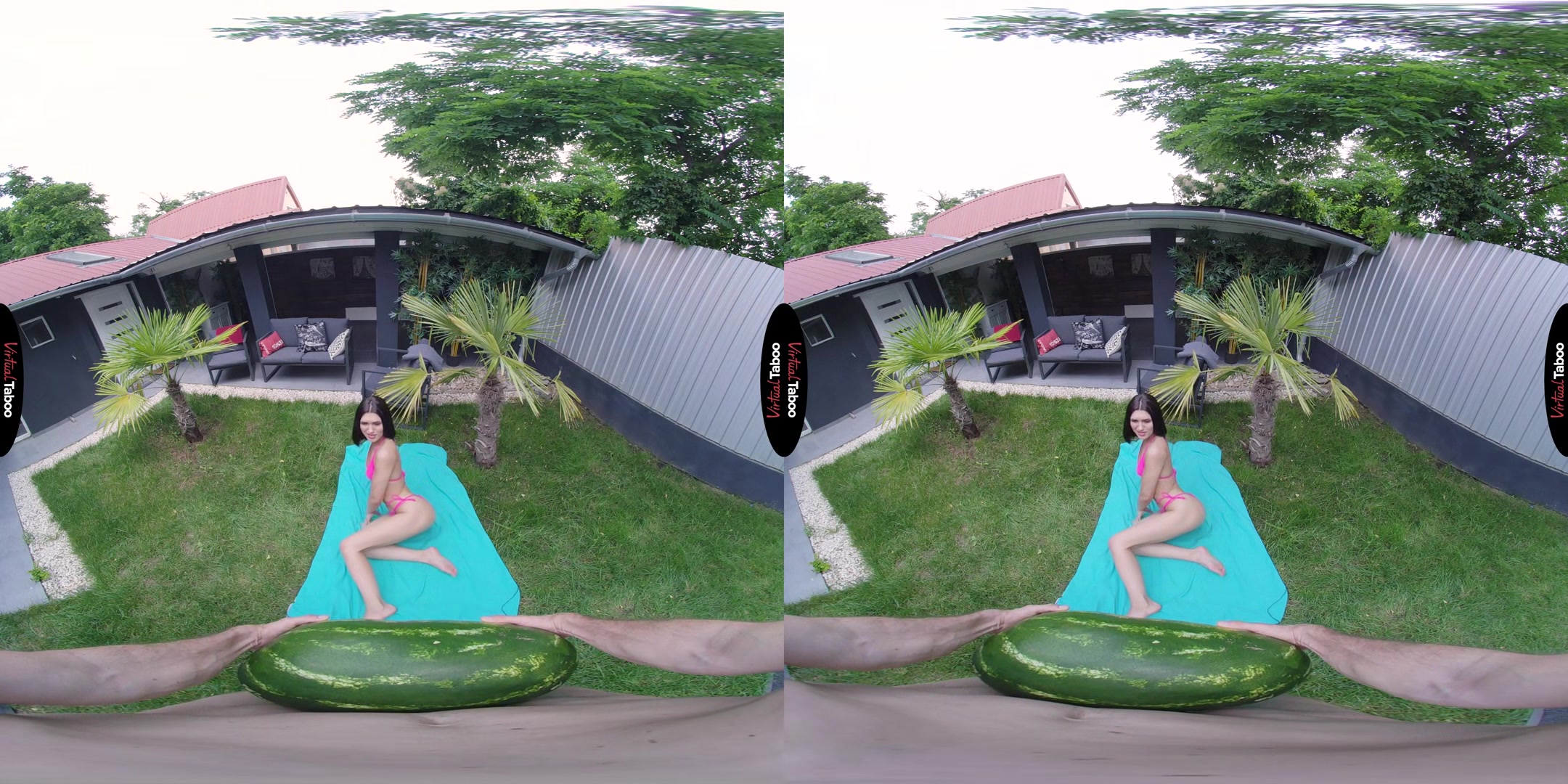 Jadilica VR Porn: Fruit That Can't Hide It - VirtualTaboo