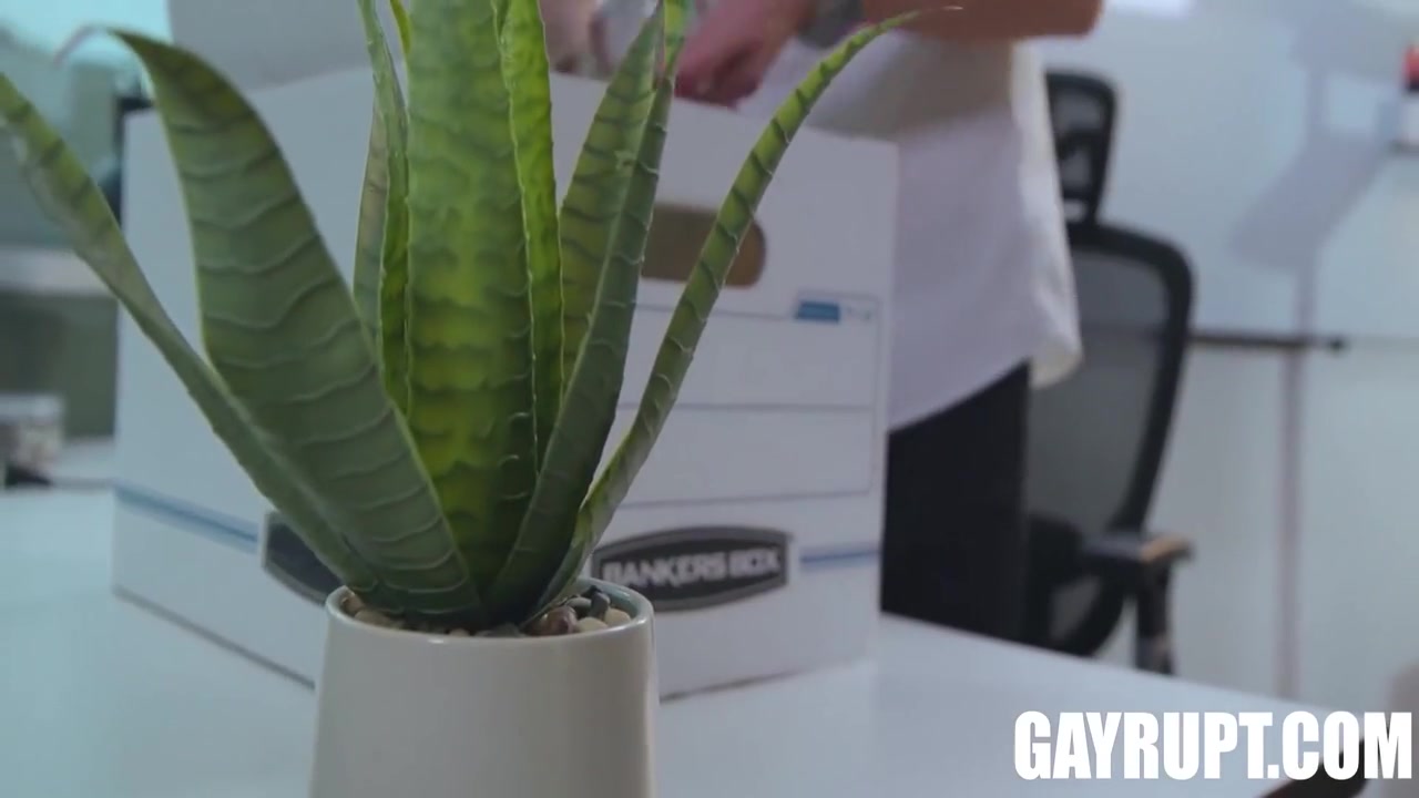 Trevor Harris And Tony Genius In Office Chemistry: Trevor Sucks Tonys Big Cock Hard 7 Min