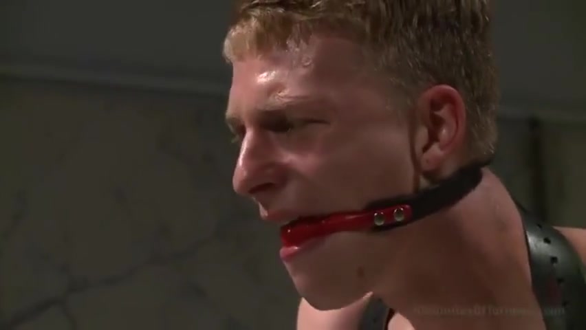 Bondage Ass Stretched On The Bad Dragon Dildo With Branden Forrest And Van Darkholme